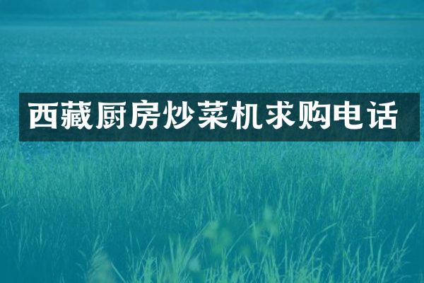 西藏厨房炒菜机求购电话