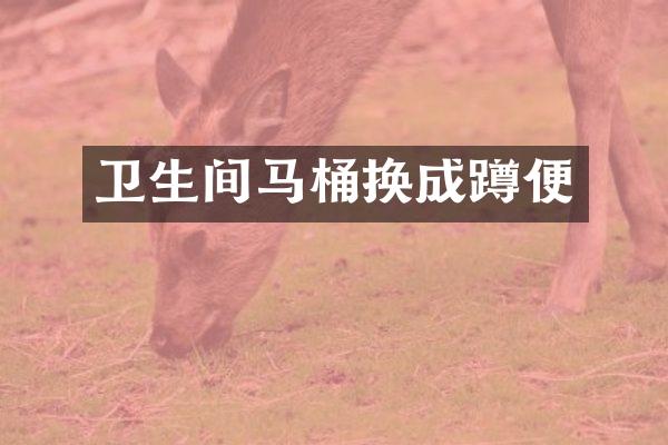 卫生间马桶换成蹲便