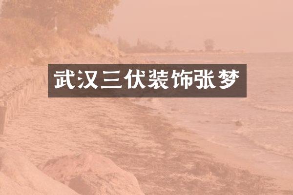武汉三伏装饰张梦