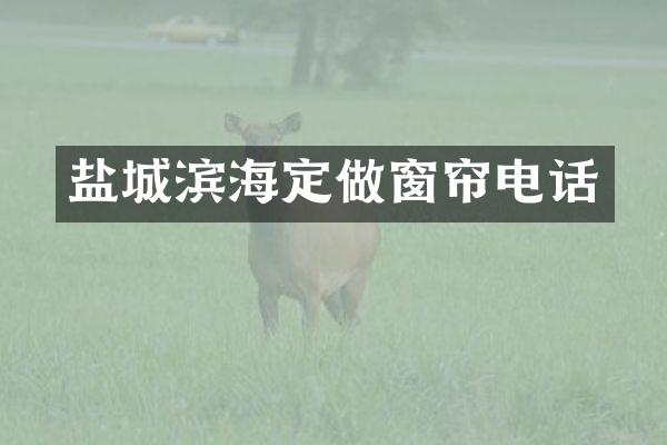 盐城滨海定做窗帘电话