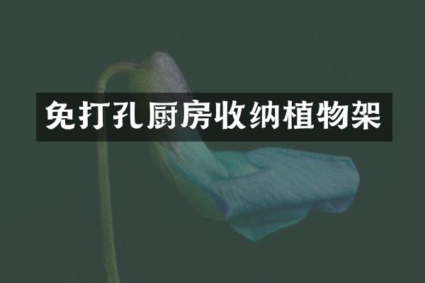 免打孔厨房收纳植物架