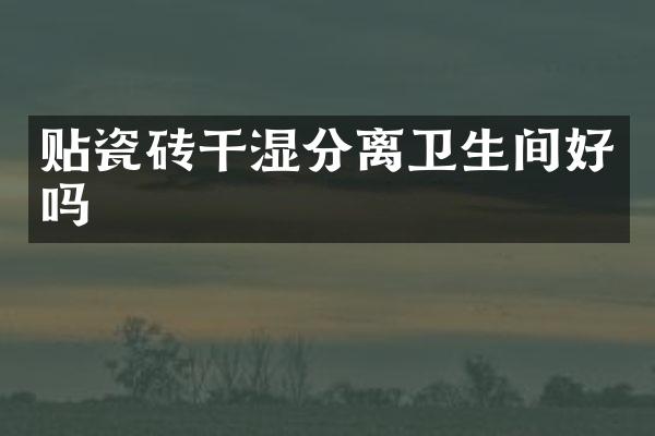 贴瓷砖干湿分离卫生间好吗
