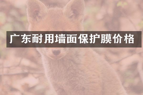广东耐用墙面保护膜价格