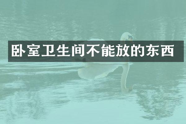 卧室卫生间不能放的东西