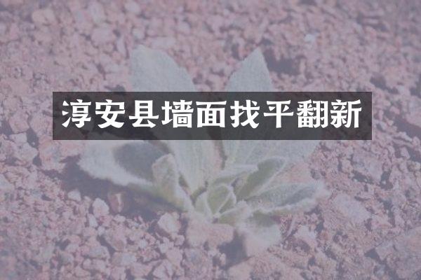 淳安县墙面找平翻新