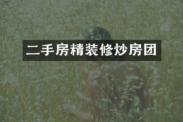 二手房精装修炒房团