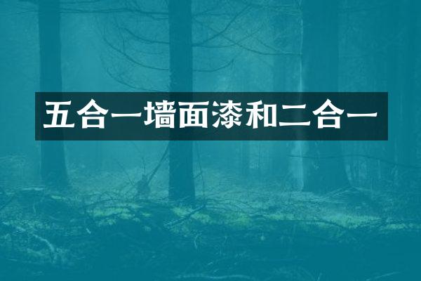 五合一墙面漆和二合一
