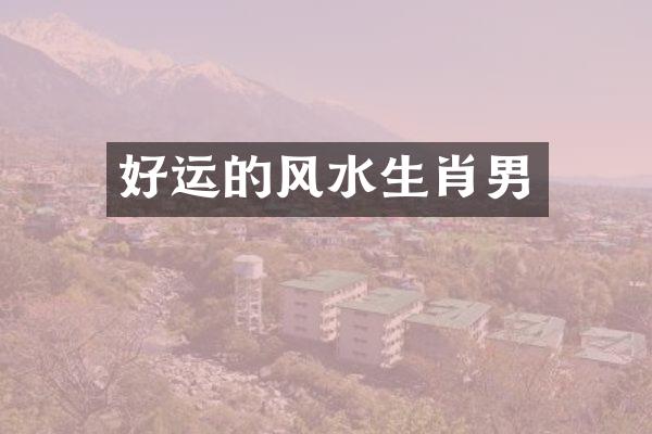 好运的风水生肖男