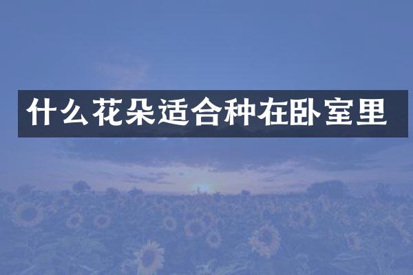 什么花朵适合种在卧室里