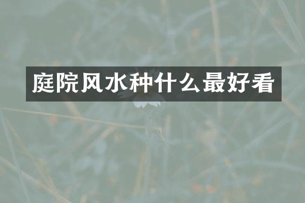 庭院风水种什么最好看