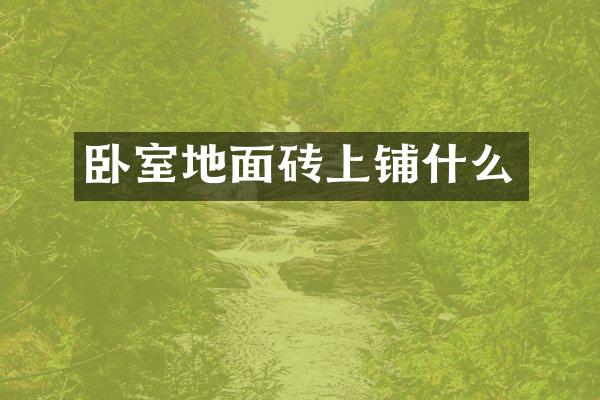 卧室地面砖上铺什么