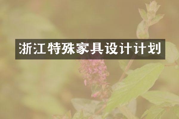 浙江特殊家具设计计划