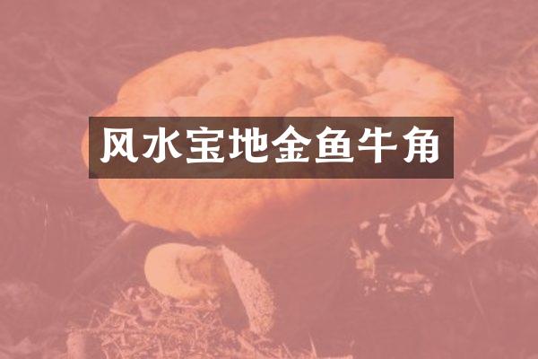 风水宝地金鱼牛角