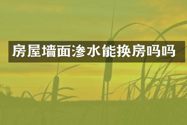 房屋墙面渗水能换房吗吗