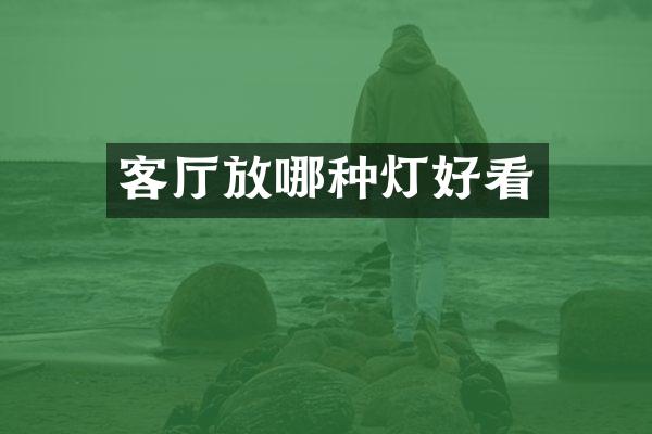 客厅放哪种灯好看