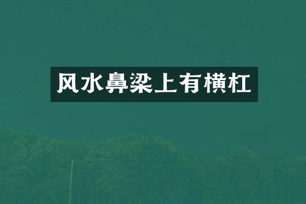 风水鼻梁上有横杠