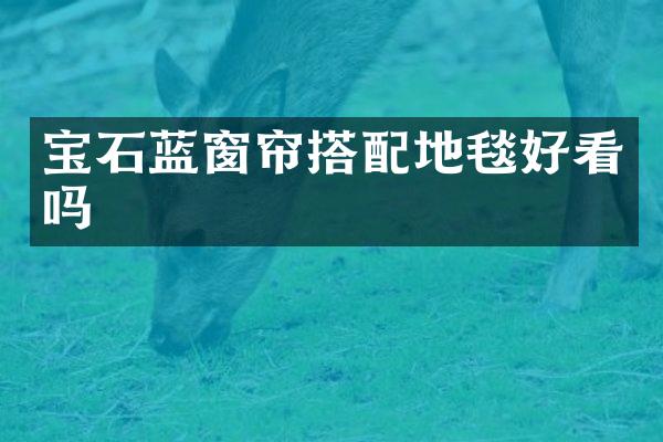 宝石蓝窗帘搭配地毯好看吗