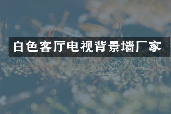白色客厅电视背景墙厂家
