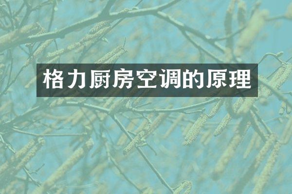 格力厨房空调的原理