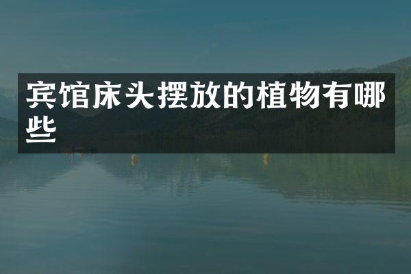 宾馆床头摆放的植物有哪些