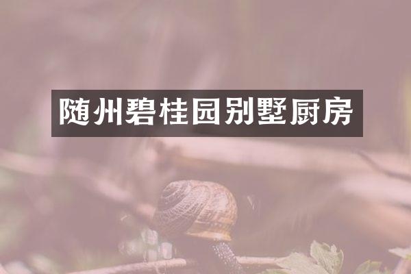 随州碧桂园别墅厨房