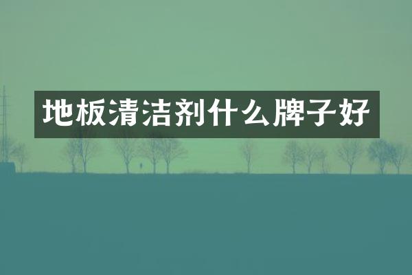 地板清洁剂什么牌子好