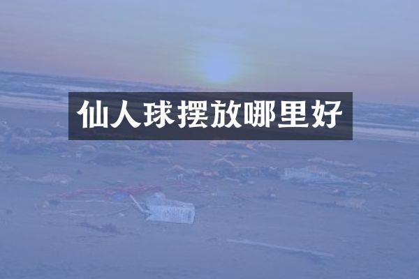 仙人球摆放哪里好
