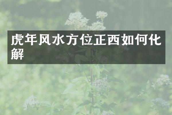 虎年风水方位正西如何化解