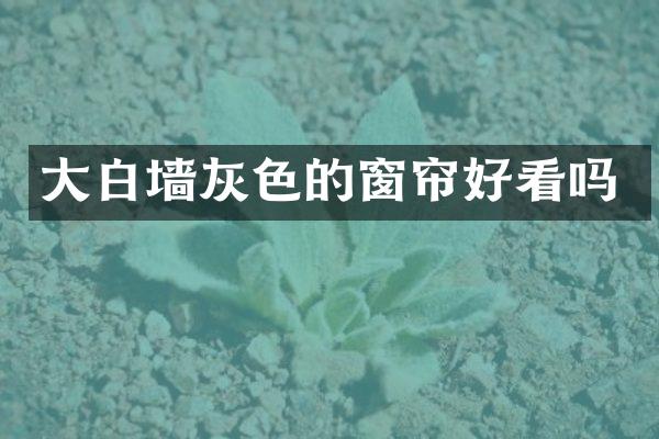 大白墙灰色的窗帘好看吗