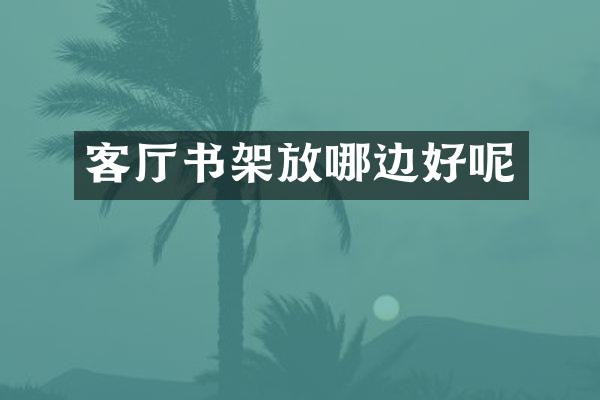 客厅书架放哪边好呢