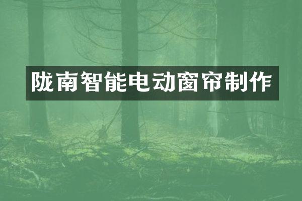 陇南智能电动窗帘制作