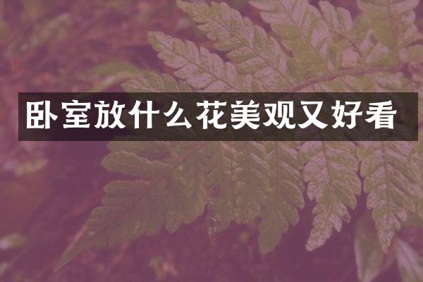 卧室放什么花美观又好看