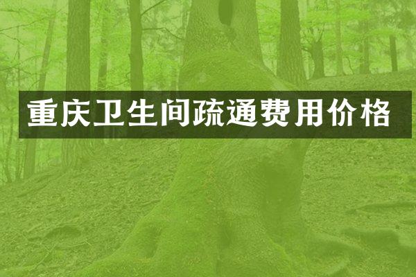 重庆卫生间疏通费用价格