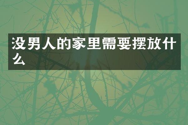 没男人的家里需要摆放什么