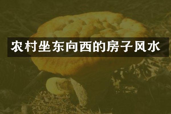 农村坐东向西的房子风水