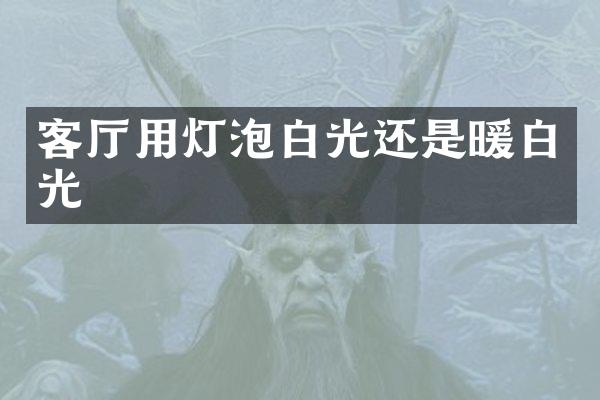 客厅用灯泡白光还是暖白光