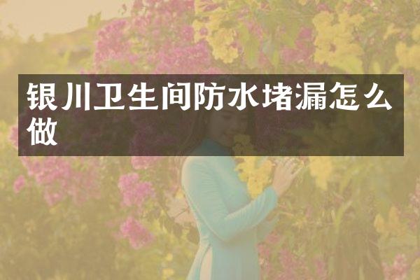 银川卫生间防水堵漏怎么做
