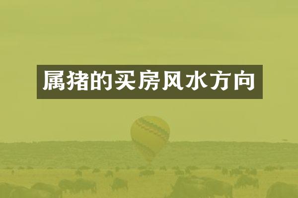 属猪的买房风水方向