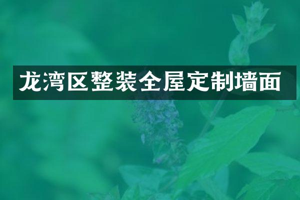 龙湾区整装全屋定制墙面
