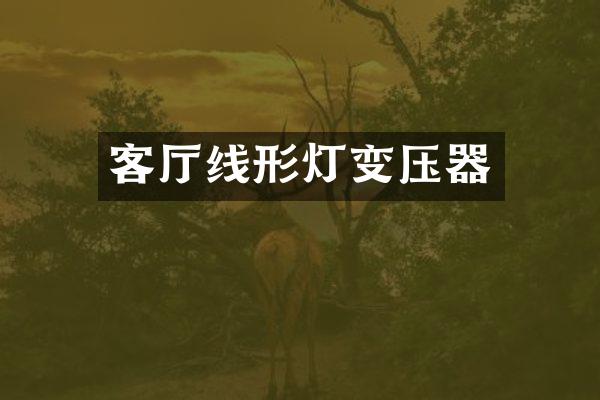 客厅线形灯变压器