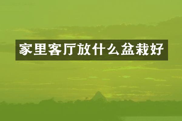 家里客厅放什么盆栽好