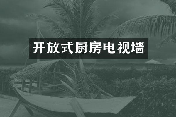 开放式厨房电视墙