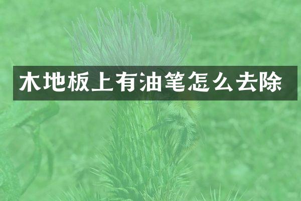 木地板上有油笔怎么去除