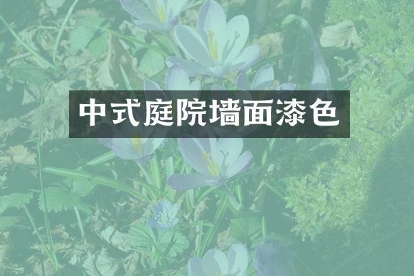 中式庭院墙面漆色