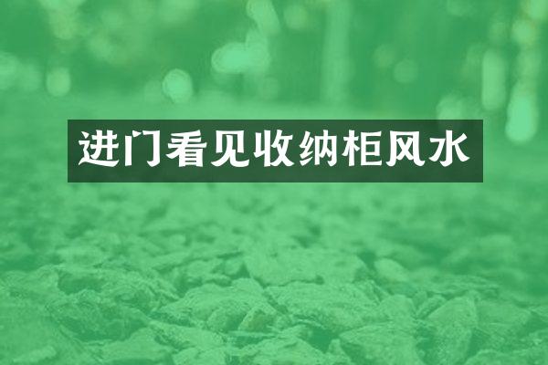 进门看见收纳柜风水