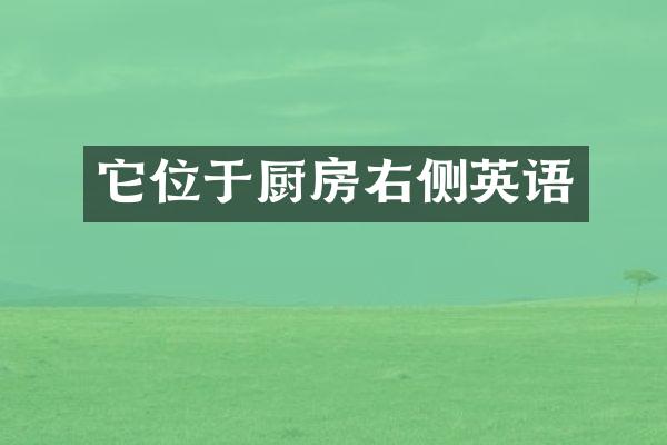 它位于厨房右侧英语