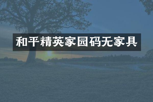 和平精英家园码无家具