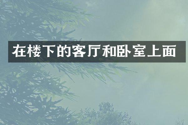 在楼下的客厅和卧室上面