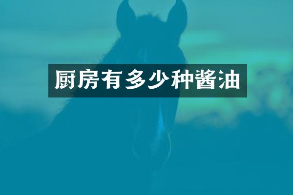 厨房有多少种酱油