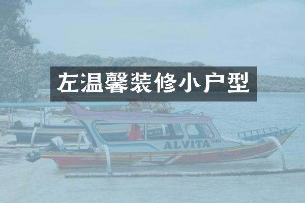 左温馨装修小户型